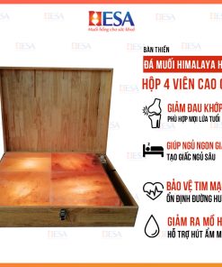 Bàn Thiền Đá Muối Himalaya Hộp 4 Viên