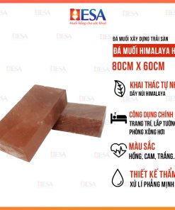 Vách Đá Muối Xây Dựng Trải Sàn Cho Phòng Xông Hơi Khô