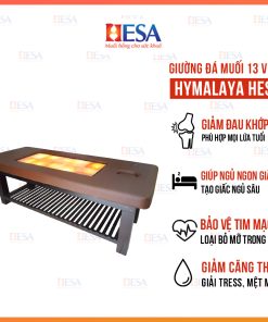 Giường Đá Muối Himalay 13 Viên Cao Cấp